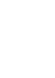 BIG Academy logo