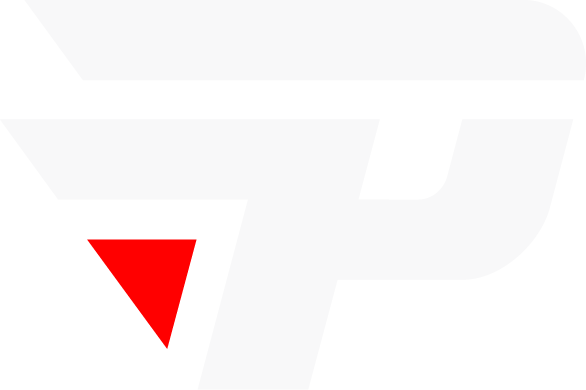 paiN logo