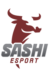 SASHI Academy
