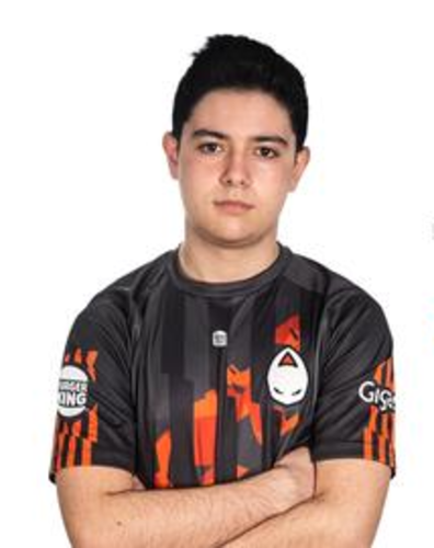 flowX
