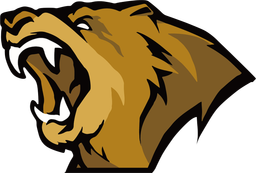 Lynn Vision logo
