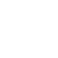 CYBERSHOKE logo